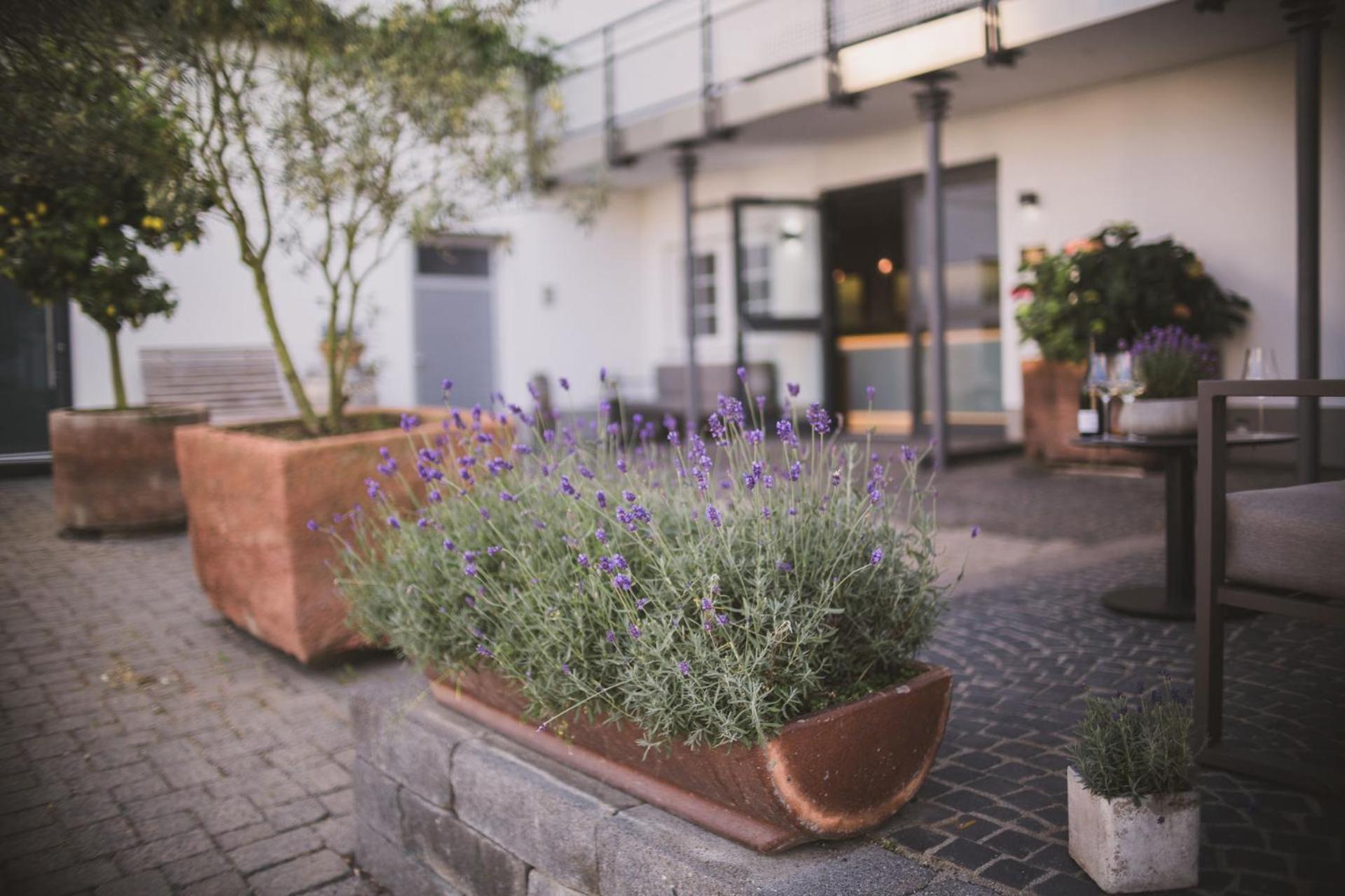 Hotel Weingut Gehlen-Cornelius Brauneberg Exterior foto